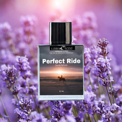 Perfect Ride  – Inspired by Stronger With You